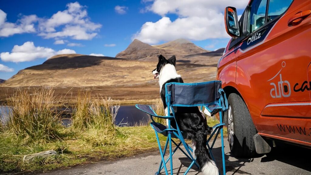 dog friendly campervan hire