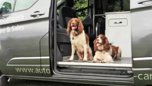 highland auto campers dog friendly campervan 1600 900 Dog-friendly Ford Transit Custom campervan parked in the Scottish Highlands.